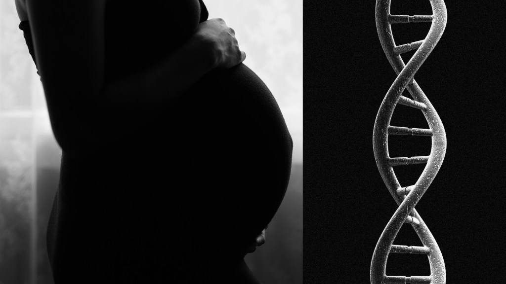 image_9740e2ab-f2d8-48f1-a95a-6eee4d6d75bc